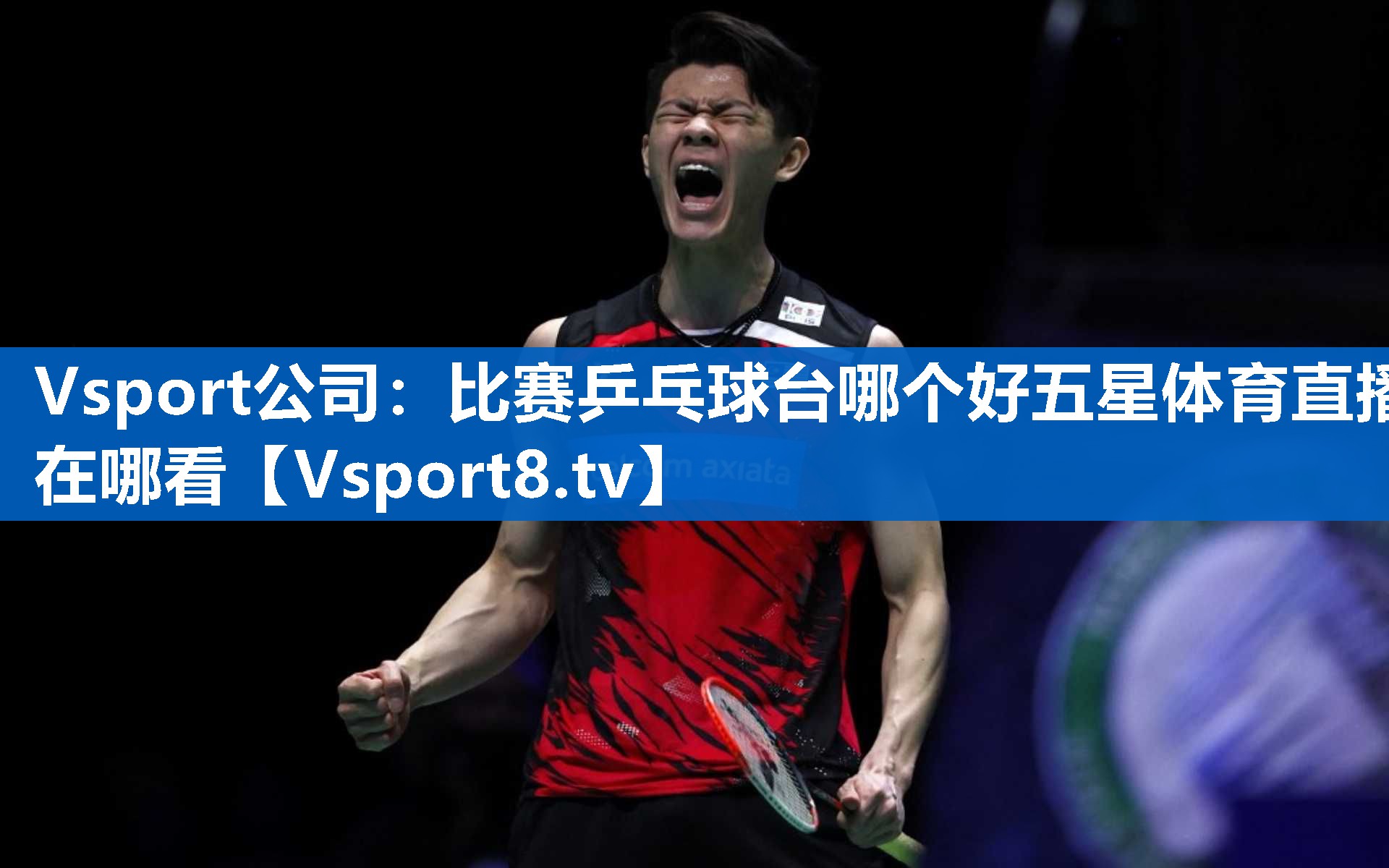 Vsport公司：比赛乒乓球台哪个好五星体育直播在哪看
