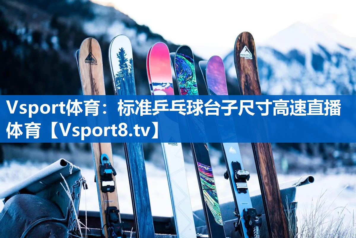 Vsport体育：标准乒乓球台子尺寸高速直播体育