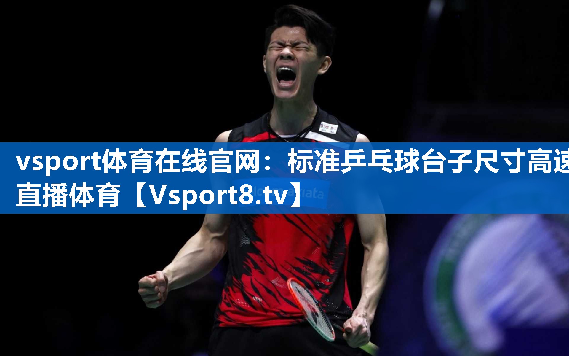 vsport体育在线官网：标准乒乓球台子尺寸高速直播体育