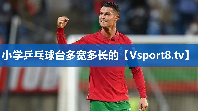 小学乒乓球台多宽多长的