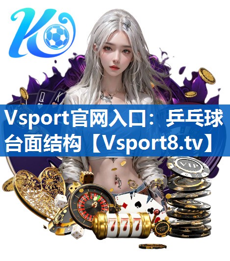 乒乓球台面结构 乒乓球台面结构