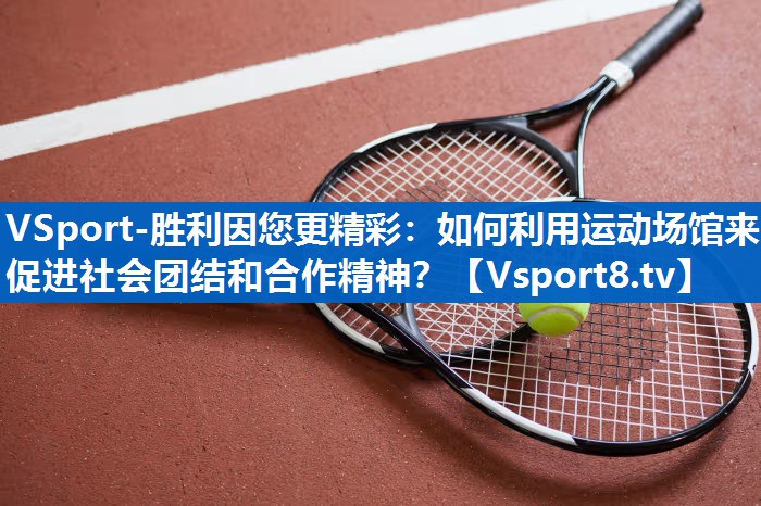 如何利用运动场馆来促进社会团结和合作精神？